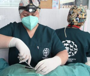 HSI veterinary team performing surgery in La Paz, Bolivia