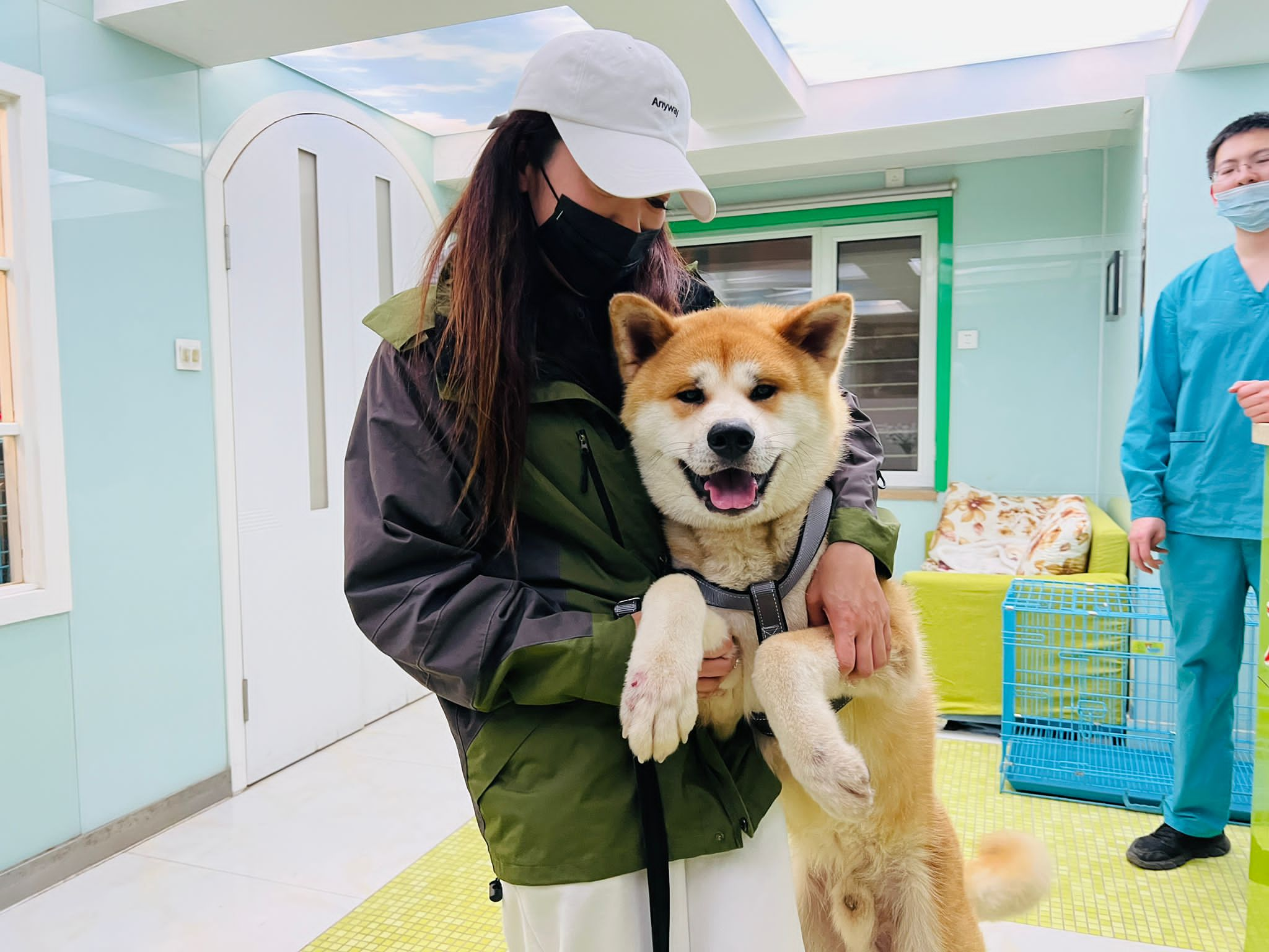 Chinese activists save “Lucky” dog from meat shop in Yulin and call for  COVID-19 ban on city's dog meat festival next month - Humane Society  International